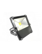 LED Floodlight