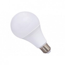 LED Bulb Local Version