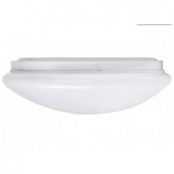 LED Ceiling Light