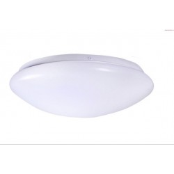 LED Ceiling Light